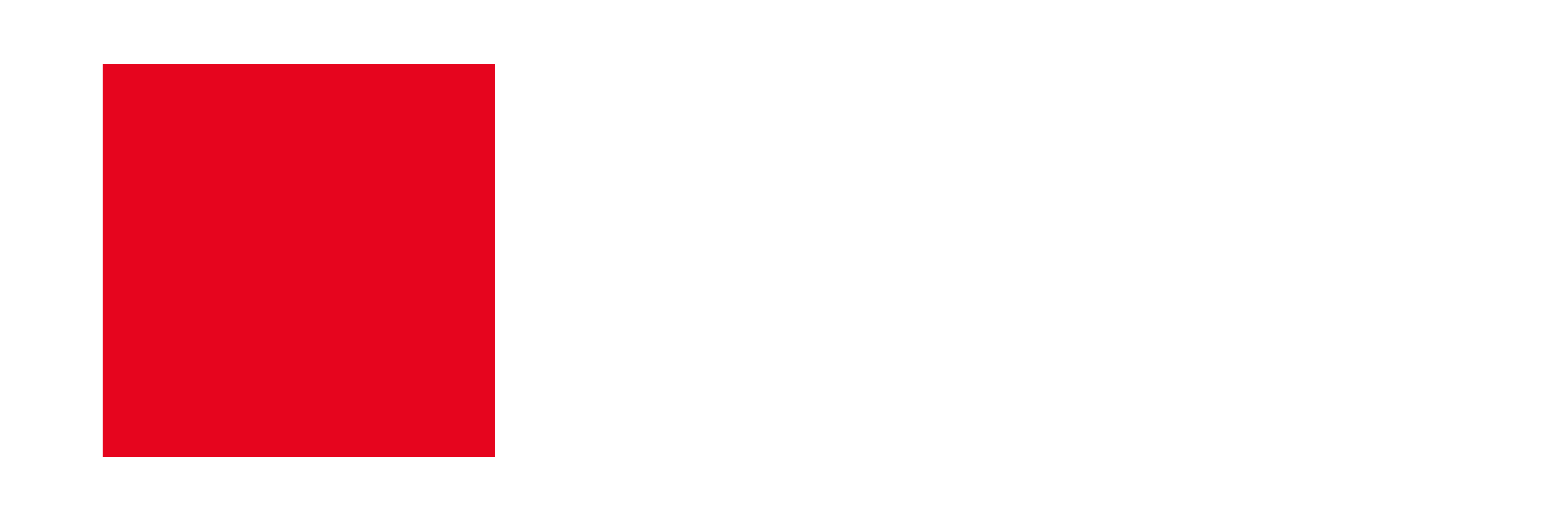 Footer Logo